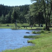 cimg0312 800x600